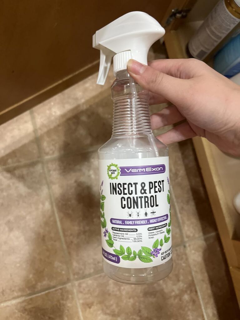 Peppermint Oil Insect & Pest Control Spray - 16oz Natural Plant-Based Bug Killer for Spiders, Ants, Flies, and Other Insects, Safe for Home & Kitchen Use customer photo 2