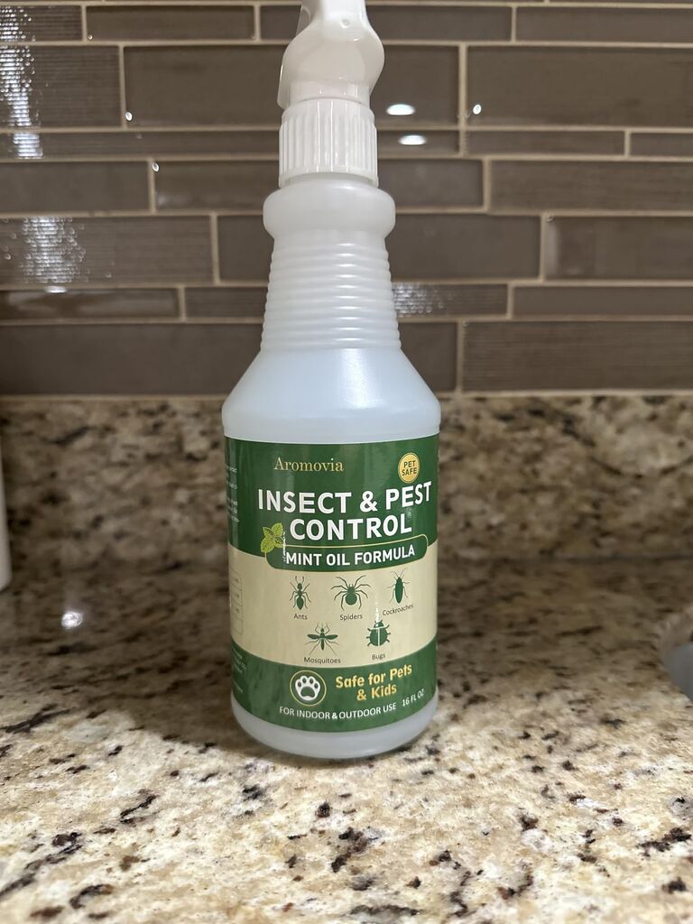 Peppermint Oil Insect Repellent Spray 16 OZ, Natural Indoor & Outdoor Bug Control for Spiders, Ants, Roaches, and More, Kids and Pets Safe customer photo 1