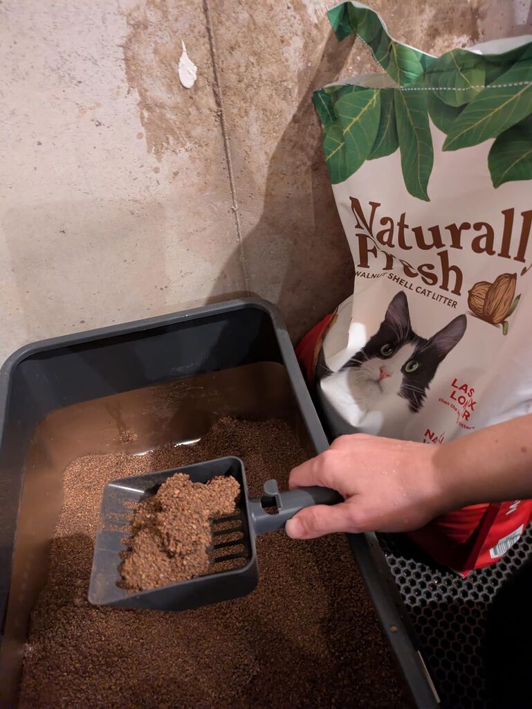 Naturally Fresh Cat Litter Made from Walnut Shells, Unscented, Multi-Cat, Upcycled, Low Dust, Sustainable, 30 Lbs customer photo 1