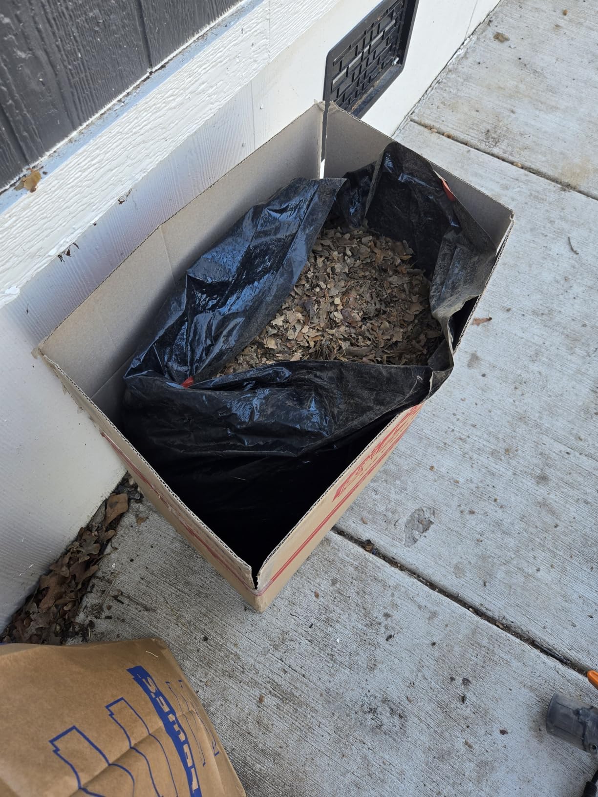 WORX Trivac WG509 3-in-1 customer photo 1