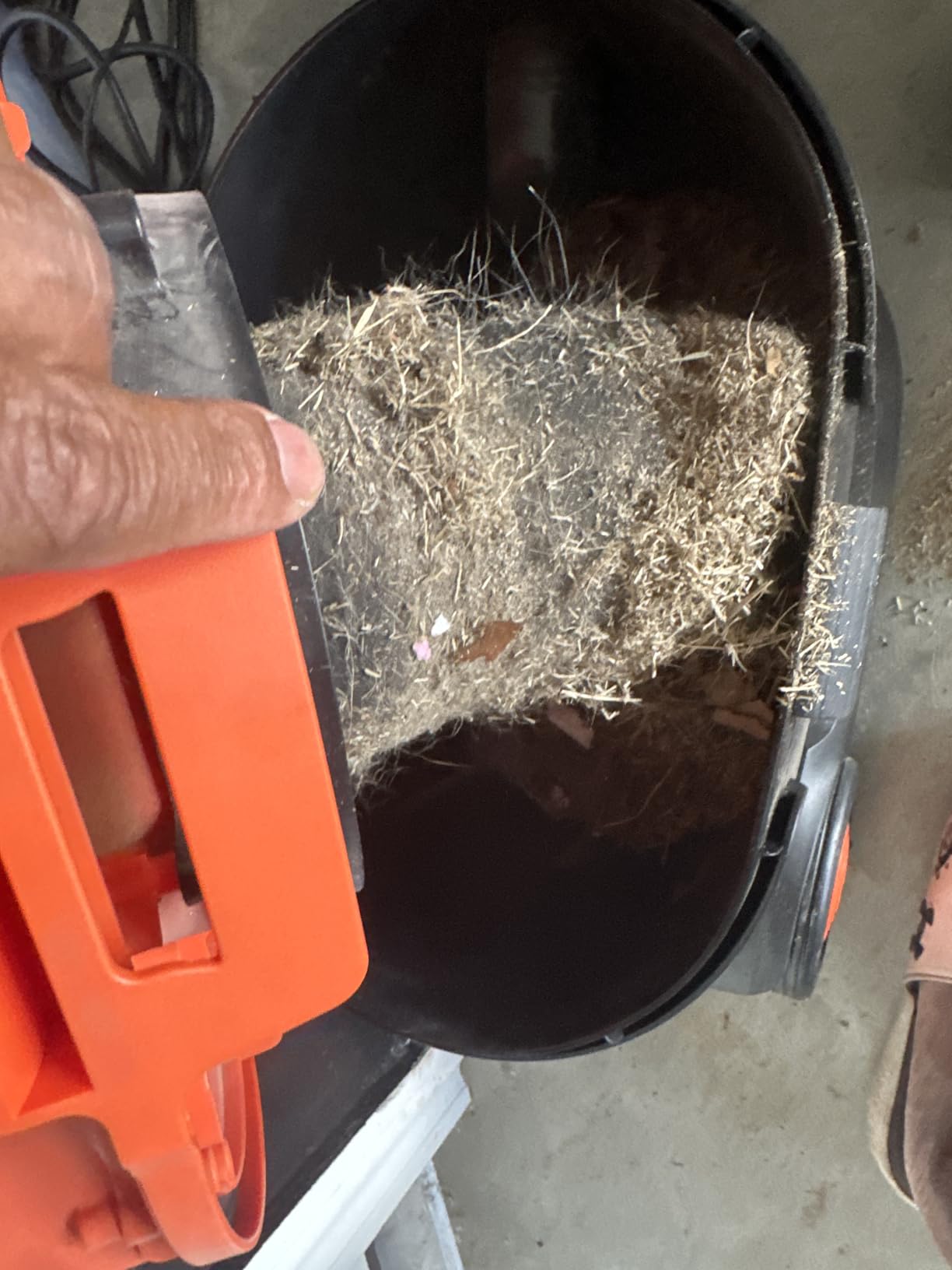 Armor All AA255W Wet/Dry Utility Vac 2.5 Gallon customer photo 2