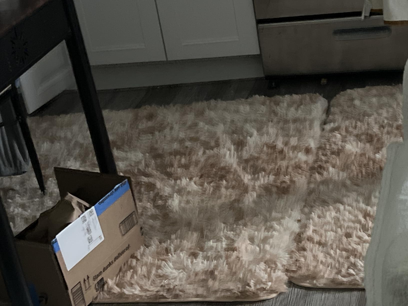 Litanika 4x6 Shag Area Rug for Living Room Bedroom, Tie-Dyed Beige High Pile Soft Plush Shaggy Furry Cream Bedside Playroom Dorm Carpet, Non-Slip, Non-Shedding Modern Indoor Floor Rug customer photo 2