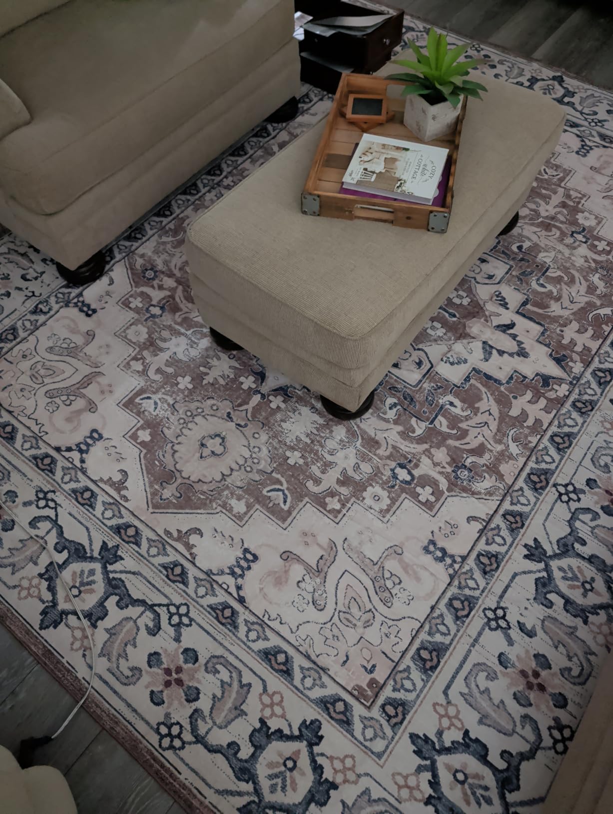 Lofus 5x7 Area Rugs for Living Room, Washable Area Rug, Rugs for Bedroom, Kitchen, Vintage Boho Carpet, Soft Non-Slip, Low Pile Large Area Rug for Office Dining Room, Floral Brown customer photo 1