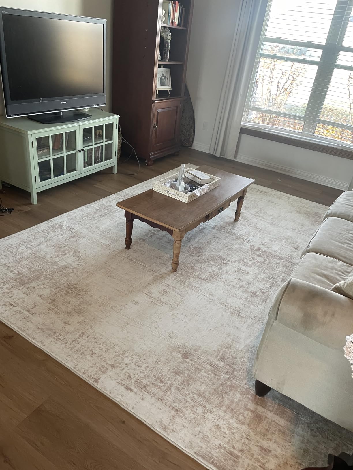 Area Rug 8x10 Washable Rug, Vintage Boho Medallion Rugs Non-Slip Soft Low Pile Large Distressed Rug Indoor Retro Carpet for Living Room Bedroom Dining Room Office Children's Room (Beige, 8'x10') customer photo 1