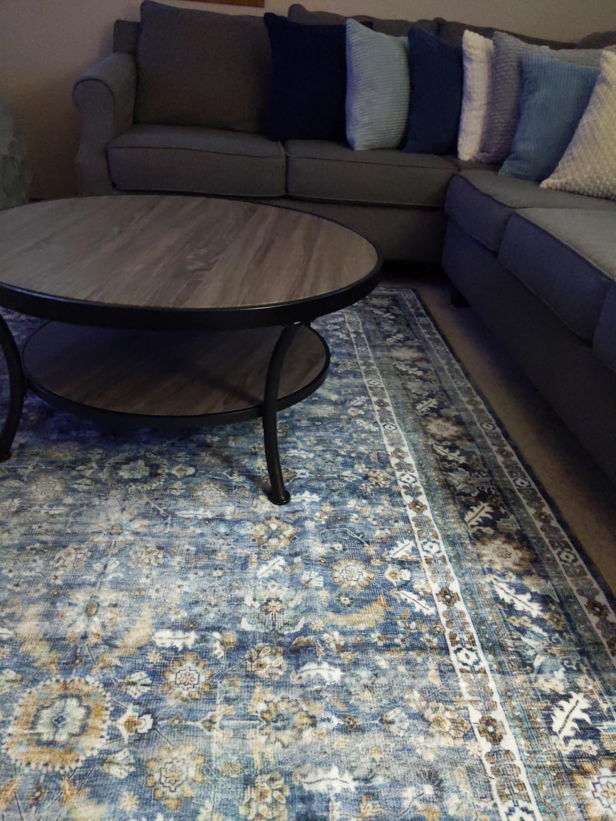 OPPODREAM Vintage Blue Area Rugs 5x7, 5 x 7 Retro Washable Rug Non Slip, Low-Pile Faux Wool Carpet, Distressed Navy Floor Mat for Living Room, Bedroom, Kitchen, Office, Dorm, Dinning Room customer photo 2