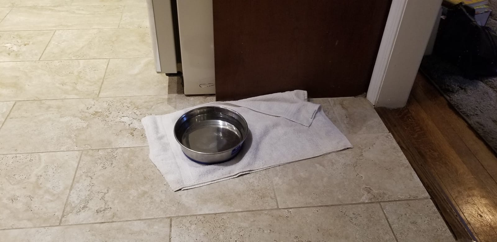 Max and Neo Heavyweight Non-Skid Rubber Bottom Stainless Steel Dog Bowl (Medium, 50oz) customer photo 2
