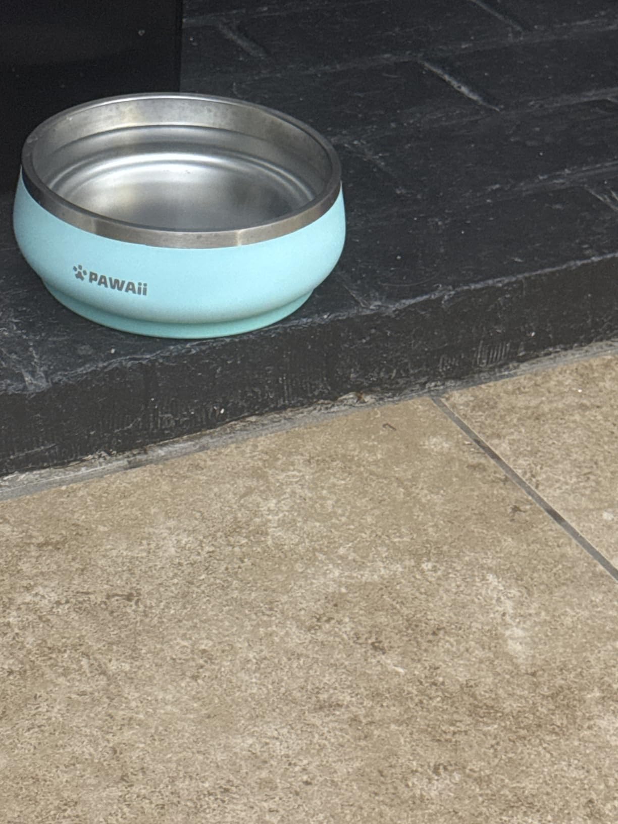 Pawaii Dog Bowl, 34 oz Stainless Steel Food and Water Bowl, Double-Wall Design customer photo 2