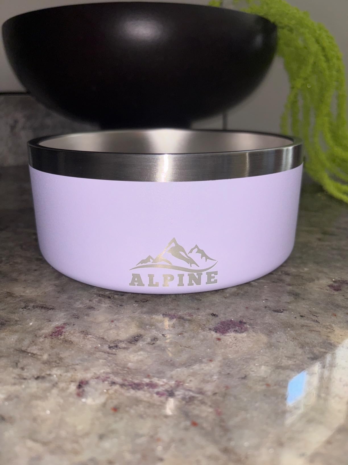 Alpine Set of 2 Stainless Steel Dog Bowls, Double Walled Insulated, Non Slip, Rustproof customer photo 2