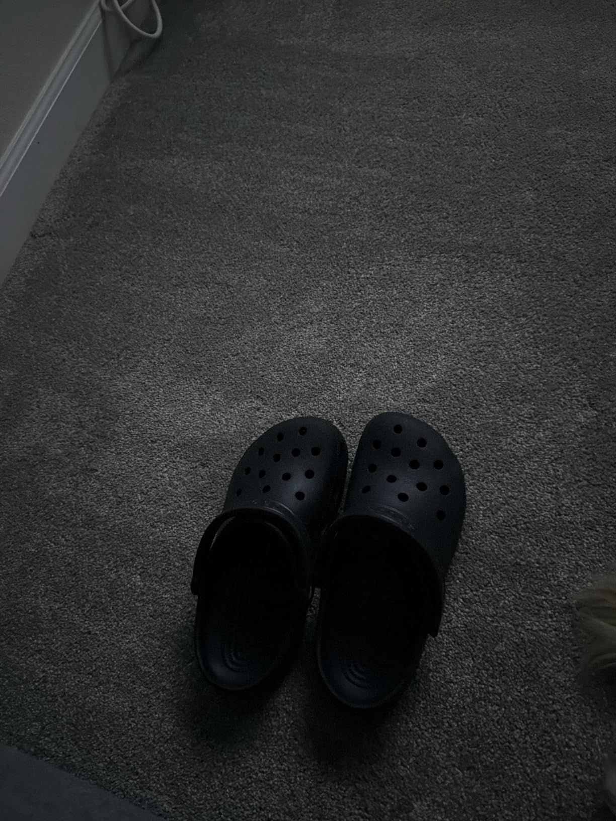 Crocs Unisex-Adult Classic Clogs customer photo 2