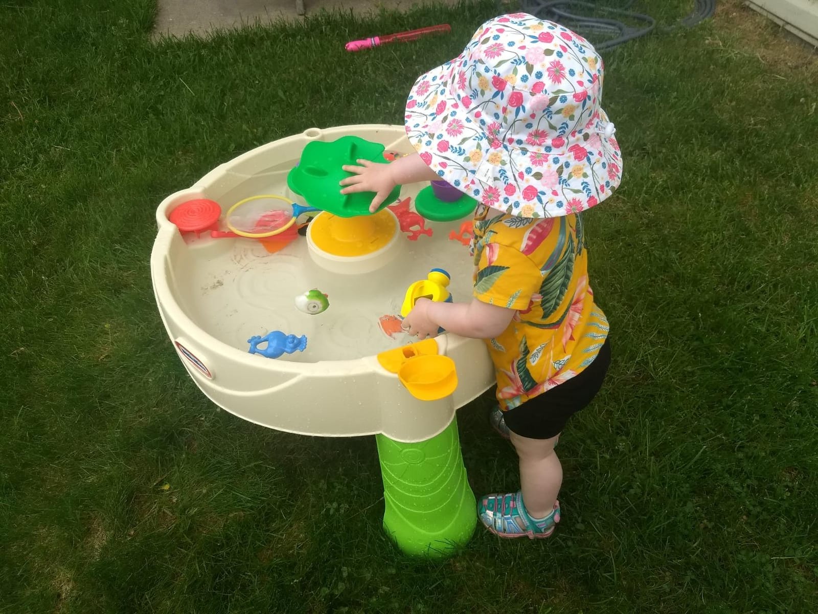 Little Tikes Frog Pond Water Table, 24 months to 36 months customer photo 2