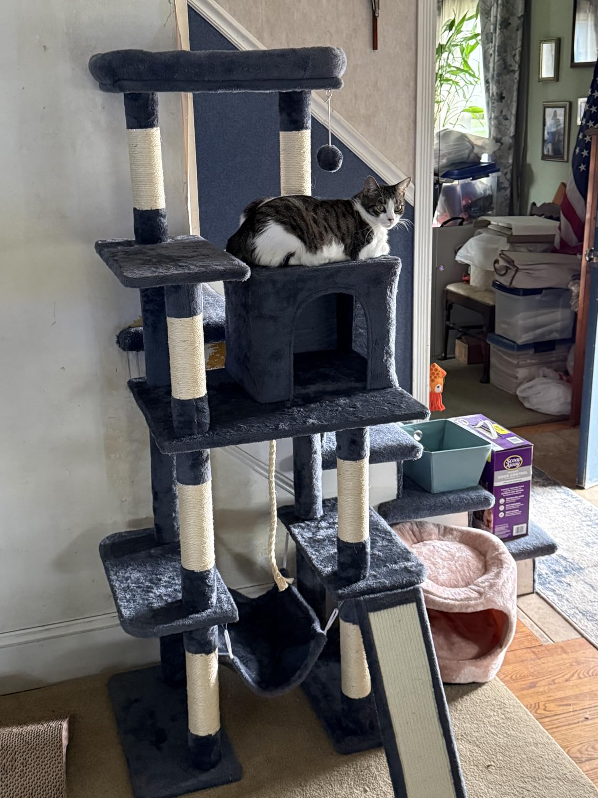 Yaheetech 63in Sturdy Large Cat Tree for Indoor Heavy Cats, Tall Tower customer photo 2