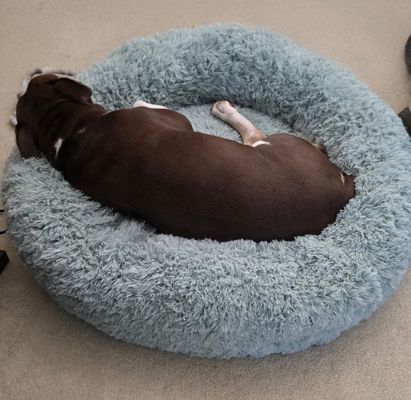 Bedsure Calming Dog Bed Medium Size Dog Donut Washable Pet Bed,30ins Camel customer photo 2