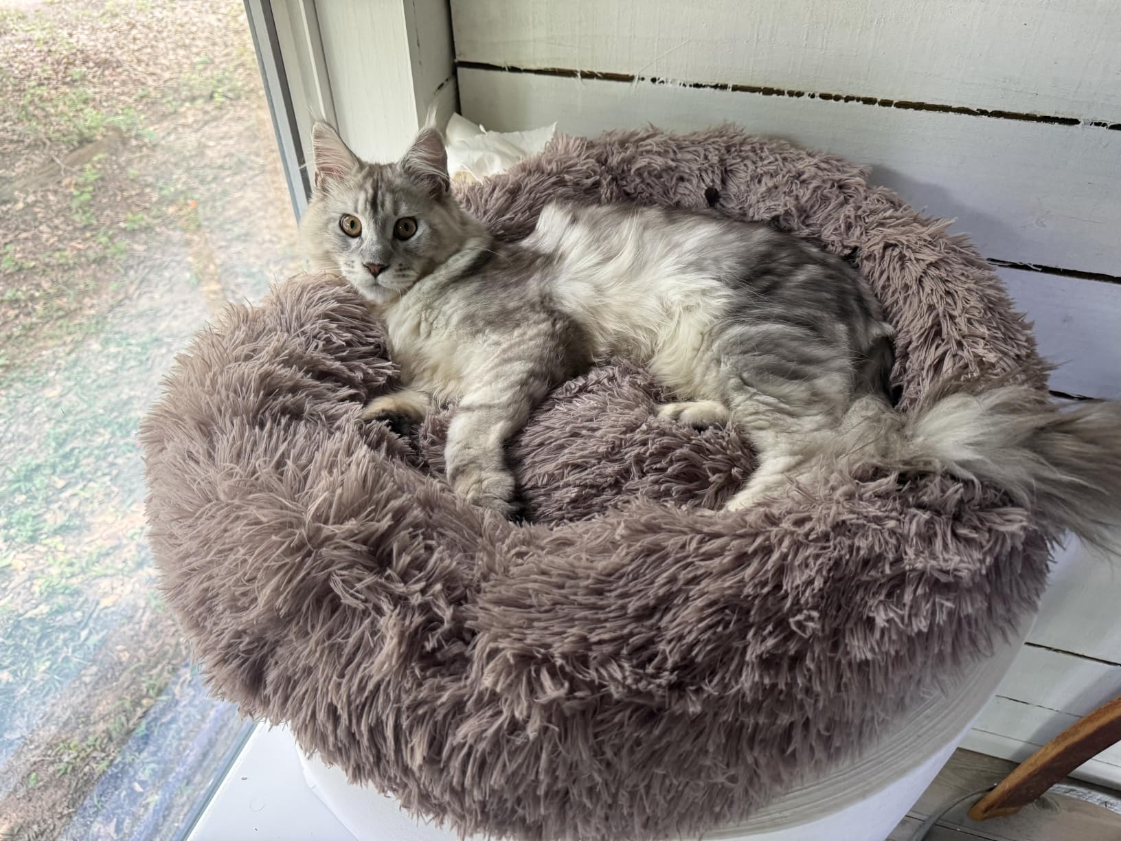 WESTERN HOME WH Calming Soft Round Dog &Cat Bed Small Dog Bed Washable,20