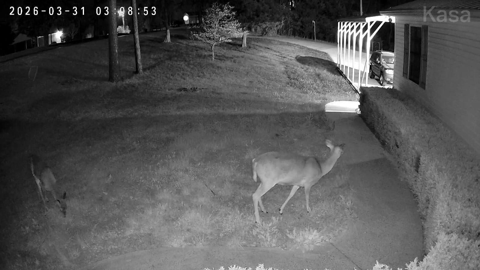 Kasa 2K+ Outdoor Wired Security Camera, KC420WS customer photo 2