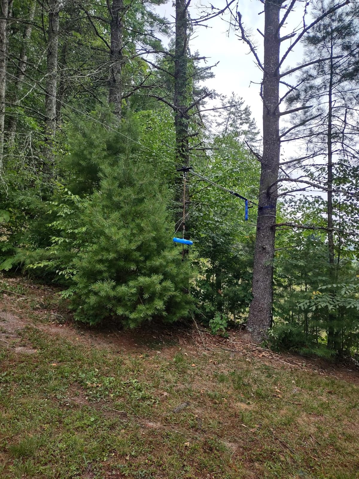 Zip Line Kit for Kids Adults : 100FT Up to 380Lbs - Quick Tighten Zipline for Backyard Outdoor with 100% Rust Proof Removable Trolley Seat Spring Brake customer photo 1