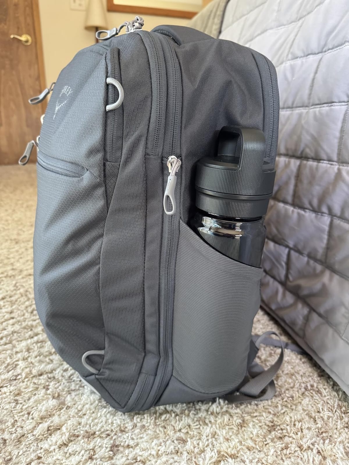 Osprey Daylite Expandable 26+6 Travel Pack, Gray OS customer photo 1