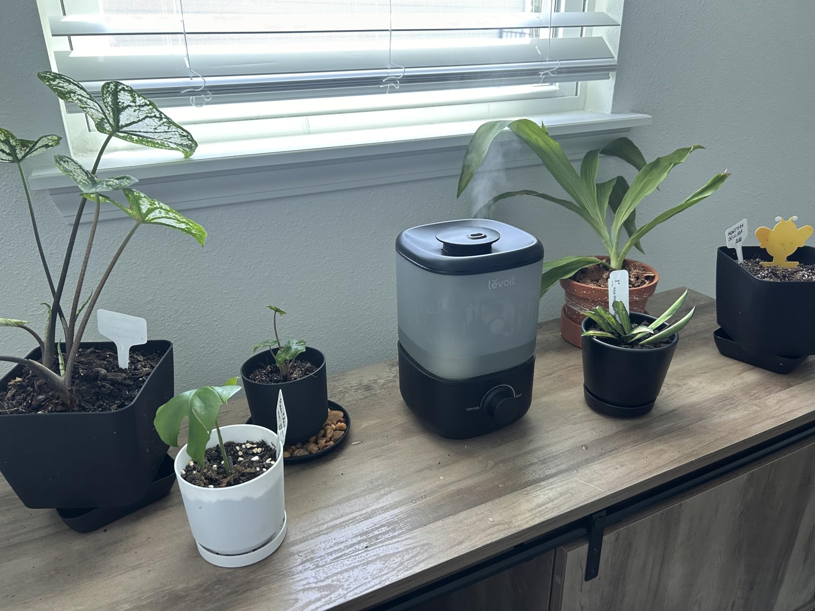 Levoit Humidifiers for Bedroom 4.2L Top Fill for Large Room, NeoClassic 450 customer photo 2